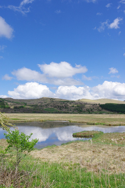 山野县