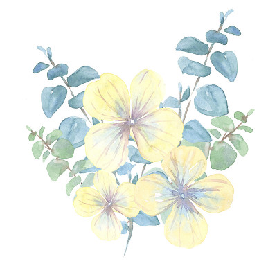 画水彩插图花，黄色的叶，树枝在白色的背景