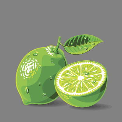 载体新鲜酸橙与水滴。矢量插图。