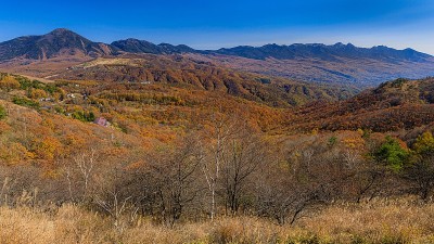 日本长野县久宫山高地的秋色