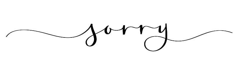 SORRY black brush calligraphy banner