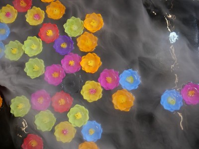 荷花蜡烛浮在水上