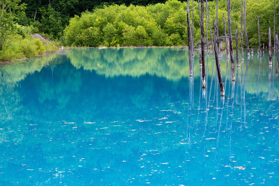 初夏碧池碧水