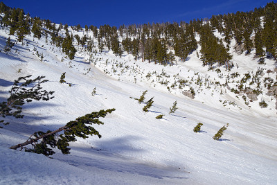 冰雪覆盖的高山地形格里菲斯峰附近的查尔斯顿山地区的查尔斯顿峰，受欢迎的徒步旅行和攀登地点，在内华达州