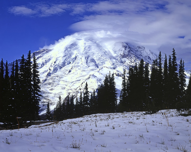 Mt.Rainier,华盛顿