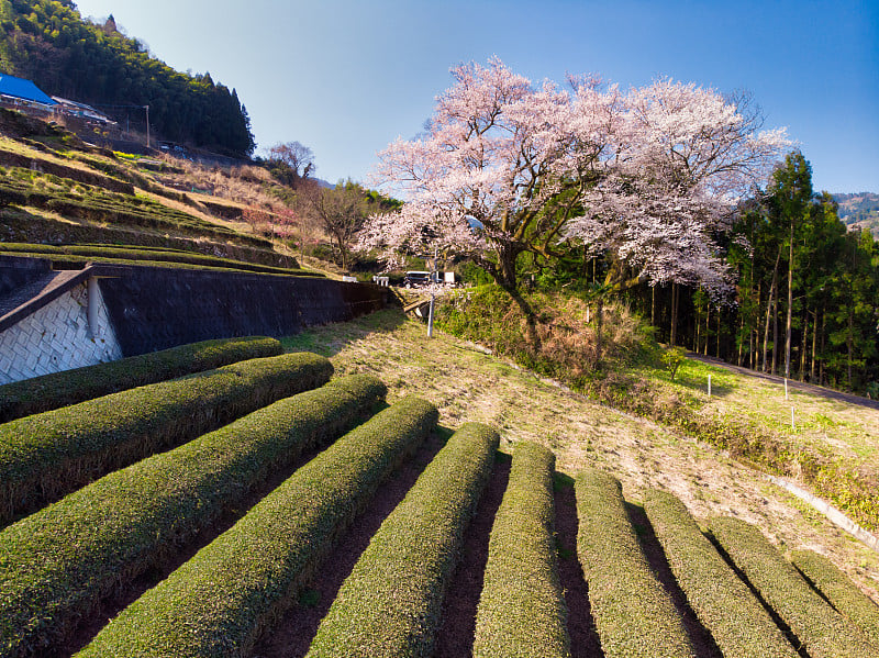 日本德岛县三吉市伊川镇的风景