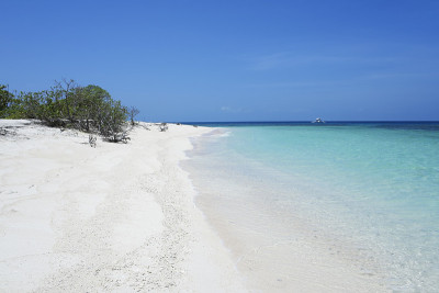 白沙蓝色海洋热带海滩背景