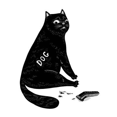有趣的黑猫与剃侧和理发器