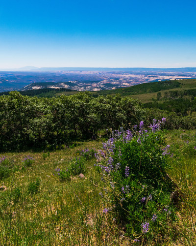 Grand Staircase Escalante National Monument Viewpo