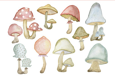 Watercolor illustration of a large set of forest c