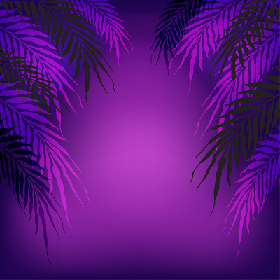 霓虹热带夏季棕榈叶背景与质子紫色梯度