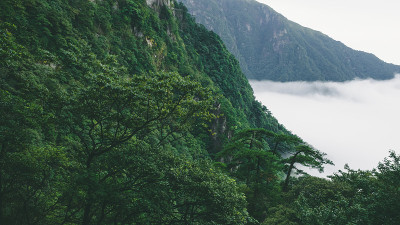 中国江西武功山顶的风景