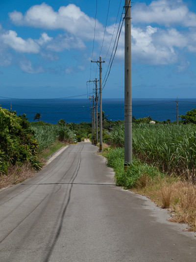 Road to the beach in a tropical island　南の島（石垣島）のビー