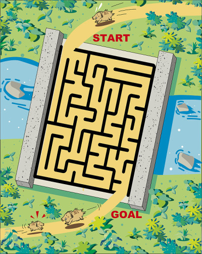 Maze of boars, can parents and children meet?
