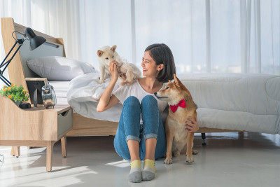亚洲女人有一个快乐的闲暇时间玩她的狗在卧室在公寓。爱犬生活理念
