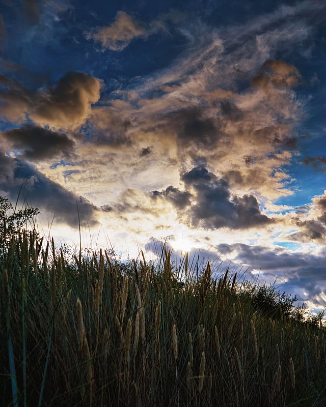 沙滩草在一个戏剧性的天空与云彩和阳光的背景下。