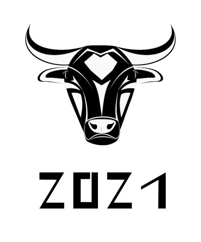 black and white bull