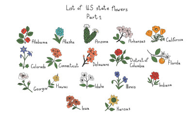 我们国家的花