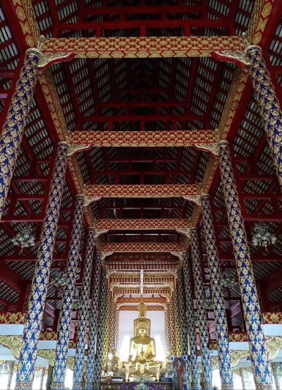苏珊什么医生
