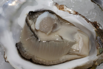 天然牡蛎