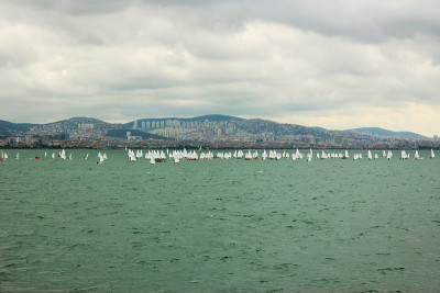 Istanbul city view and Bosporus channel, birds, la