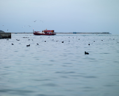 黑海