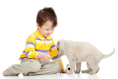 小孩小男孩和小狗狗