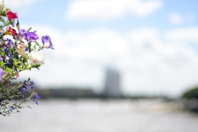 桥上的花