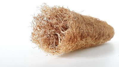 丝瓜