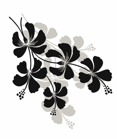 花朵图案