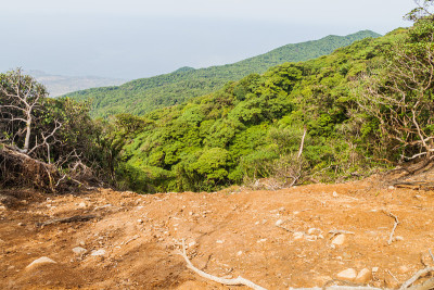 尼加拉瓜奥梅特佩岛马德拉斯火山滑坡