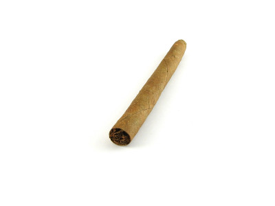 小雪茄