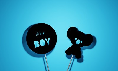 这是一个男孩标志和考拉的3D渲染图