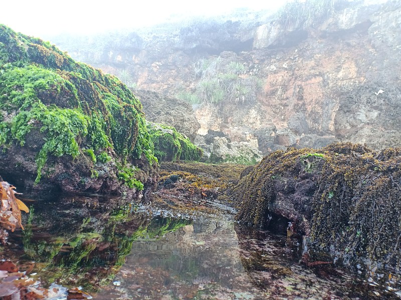 Ngedan海滩在日惹山