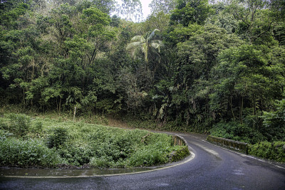 哈纳公路
