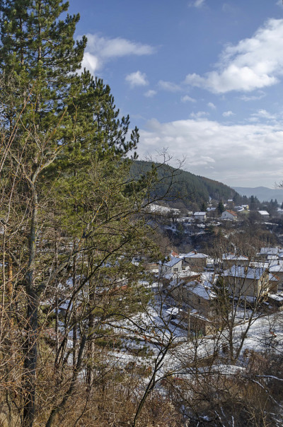 冬季村庄帕萨雷尔的保加利亚房屋住宅区
