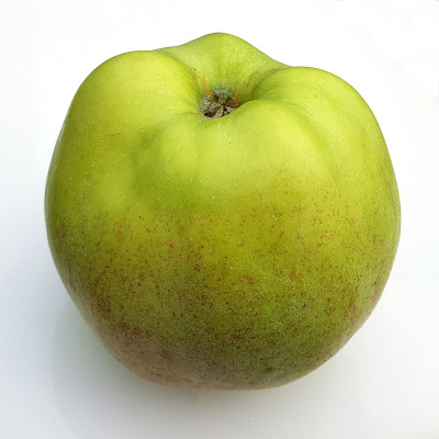 角汉堡煎饼，苹果，家蝇