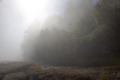 盐溪和新月湾