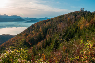 新木制的“Baumwipfelpfad”观察塔的外景，位于Grünberg附近的Gmunden, O