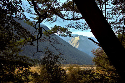 通过树山