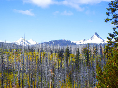 山