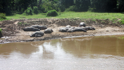 健康在Kenia