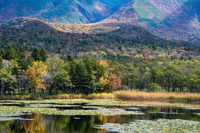 知子五湖(知子五湖)，秋叶，知子，北海道，日本