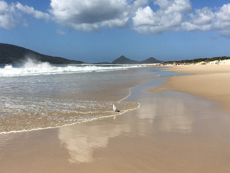 海滩的生活