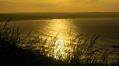 在东约克郡，Flamborough Head, Thornwick海湾附近的草籽头的日落