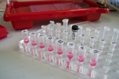 课桌在生物实验室。