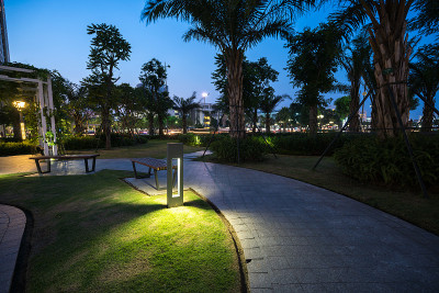 在公园的花园里，夜晚灯火通明