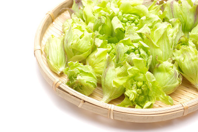 蜂斗菜