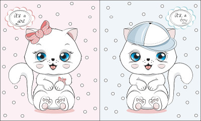 小猫，是男孩还是女孩