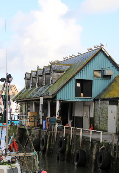 Mevagissey英格兰康沃尔